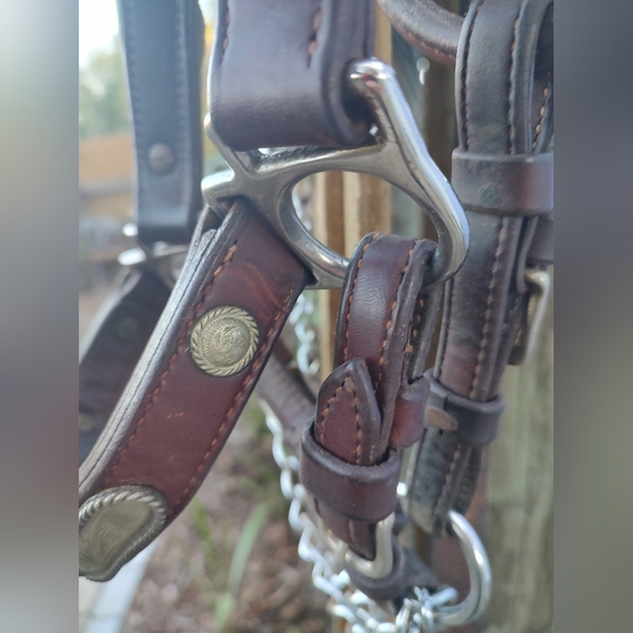 Vintage Leather Horse Show Halter with Matching Lead - Picture 12 of 13